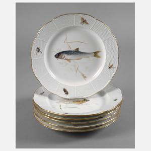 Meissen sechs Fischteller