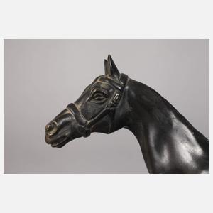 Gaston D'Illiers, stehendes Pferd "sous-off"