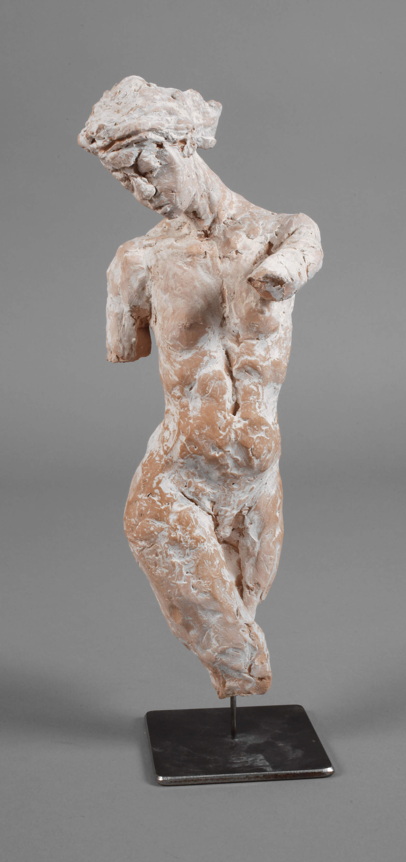 Andreas Wachter weiblicher Torso