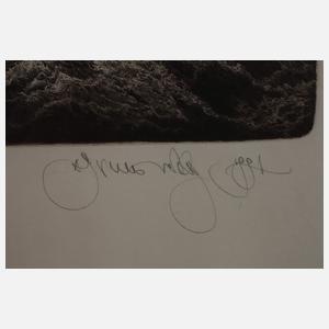 Albin Brunovsky, "Exines"