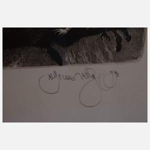 Albin Brunovsky, Theatre of the World