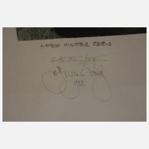 Albin Brunovský, "A Few Minutes Zero"