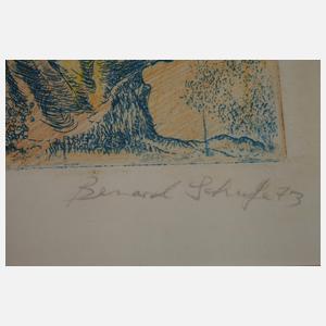 Bernard Schulze, "innerer Monolog"