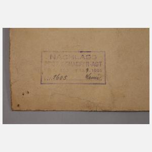 Prof. Albert Schaefer-Ast, Hagebuttenzweig