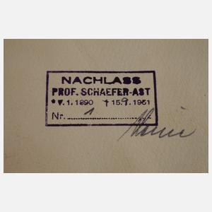 Prof. Albert Schaefer-Ast, Akt