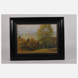 Ludwig Göbel, Blick vom Borsberg bei Pillnitz