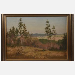 Siegfried Hauffe, zwei Ansichten Krebes/Burgstein