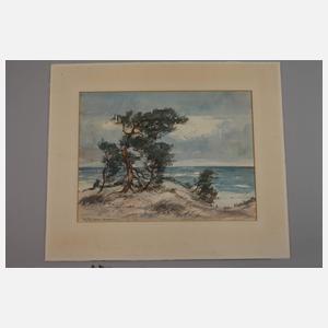 Theodor Scheerbaum, Dünenlandschaft