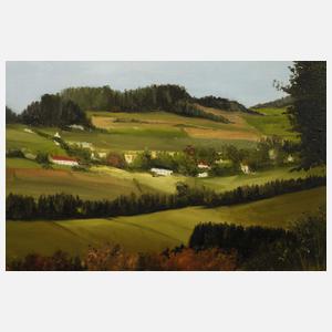 Wirth, Vogtlandlandschaft