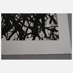 Prof. Max Uhlig, Gebüsch