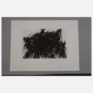 Prof. Max Uhlig, Gebüsch