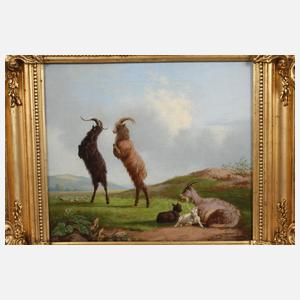 Ideallandschaft mit Ziegen