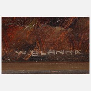 Wilhelm Blanke, Wolken über Moor