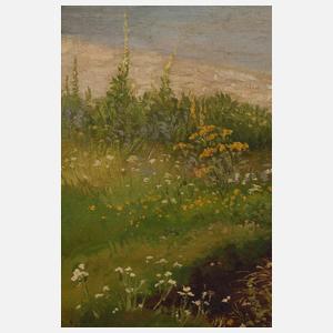 Ludwig Correggio, attr., Landschaftsstudie