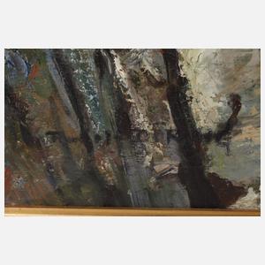 Rudolf Döring, Ansicht sächsische Schweiz