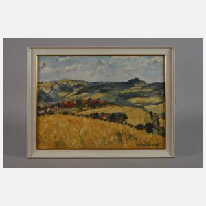 W. Hauswald, Dorfansicht