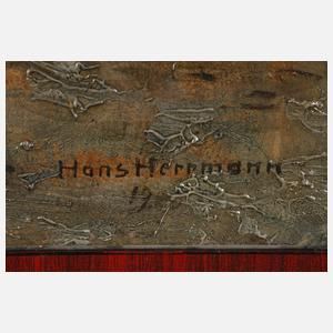 Prof. Hans Hermann, Lindengracht Amsterdam