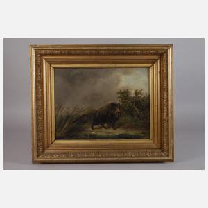 Carl Friedrich Ockert, Schwarzwild