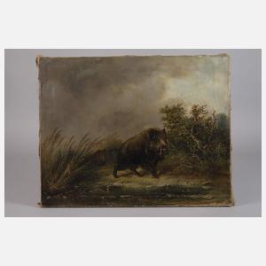 Carl Friedrich Ockert, Schwarzwild