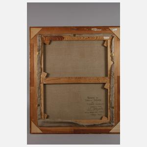 Jorge Castillejo Striano, Portrait Daniele Barbaro