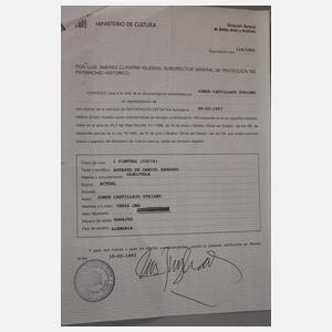 Jorge Castillejo Striano, Portrait Daniele Barbaro