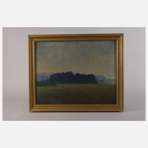 Landschaft mit Wäldchen