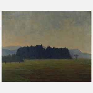 Landschaft mit Wäldchen