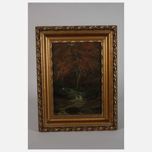 Herbstlicher Waldbach