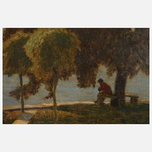 Landschaft am Bodensee