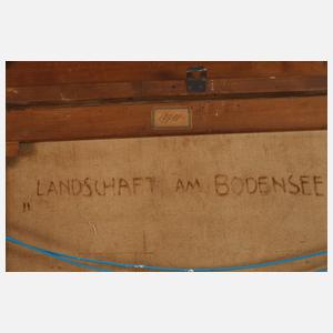 Landschaft am Bodensee