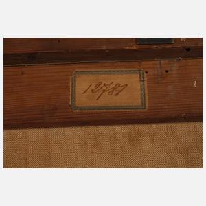 Landschaft am Bodensee