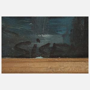 Sisem, Wintersonne in Alaska