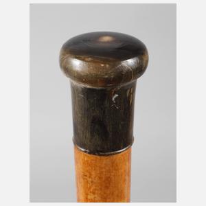 Spazierstock Horn