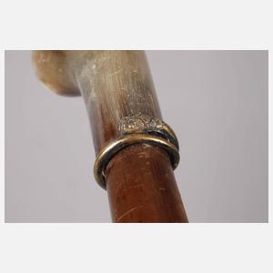 Spazierstock Horn