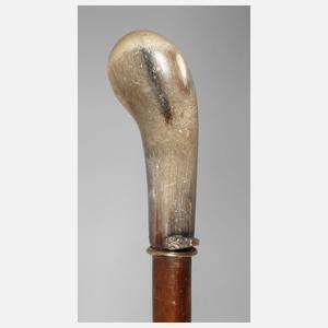 Spazierstock Horn