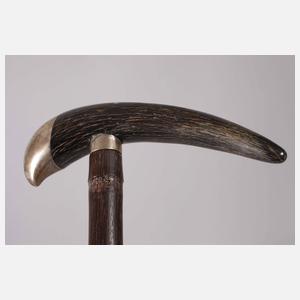Spazierstock Horn