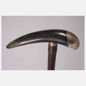 Spazierstock Horn