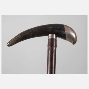 Spazierstock Horn