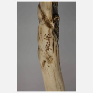 Spazierstock Horn