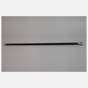 Spazierstock Memento Mori