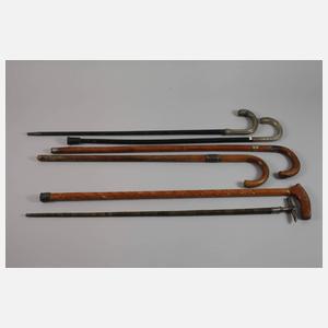 Konvolut Spazierstöcke