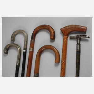 Konvolut Spazierstöcke