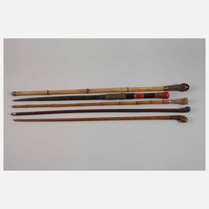 Konvolut Spazierstöcke