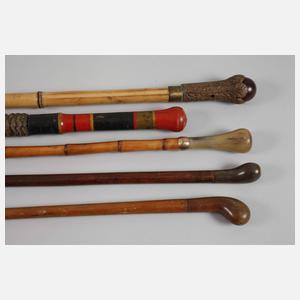 Konvolut Spazierstöcke