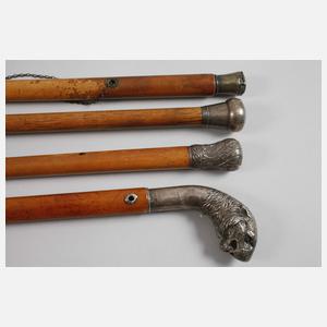 Konvolut Spazierstöcke