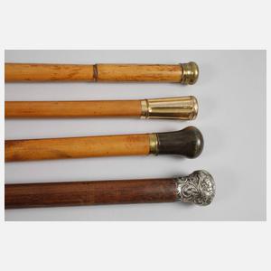 Konvolut Spazierstöcke