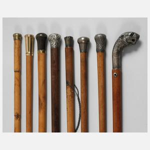 Konvolut Spazierstöcke