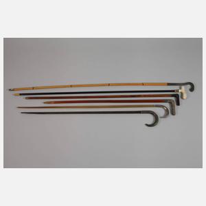 Konvolut Flanierstöcke