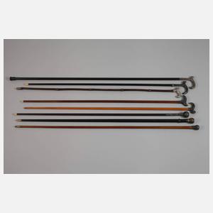 Konvolut Flanierstöcke