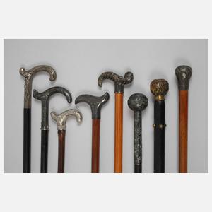 Konvolut Flanierstöcke